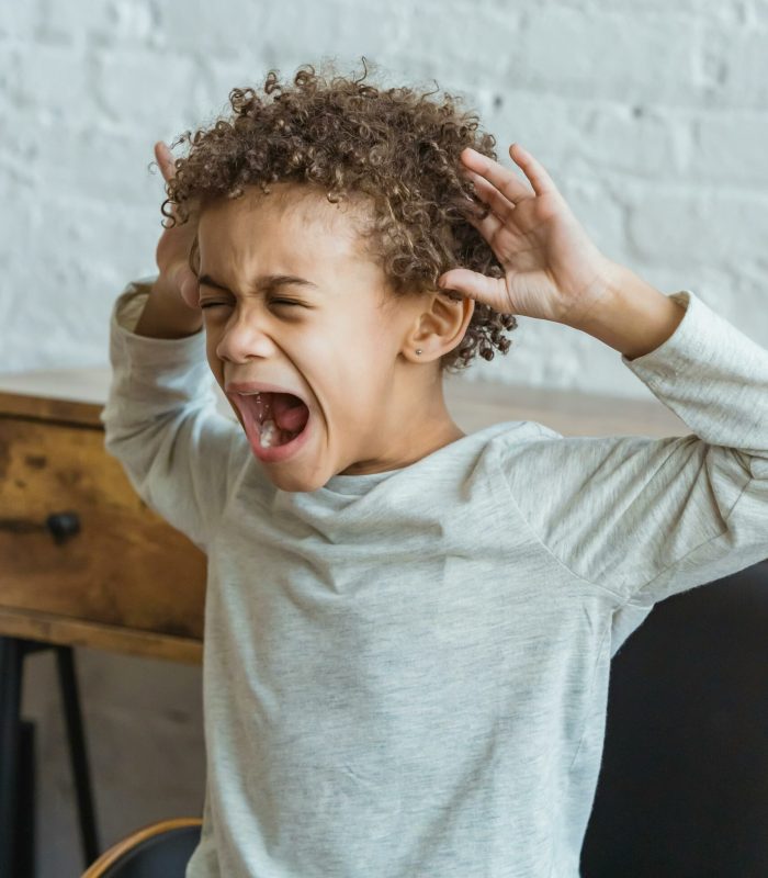 gestion des émotions